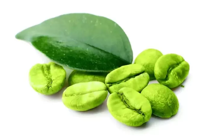 Grüner Kaffee im Kaffee Keto